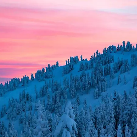 Beautiful In In Tyrol
