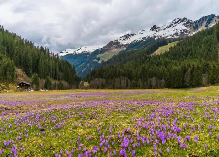 In Near Juwel Semesterbostad Kundl